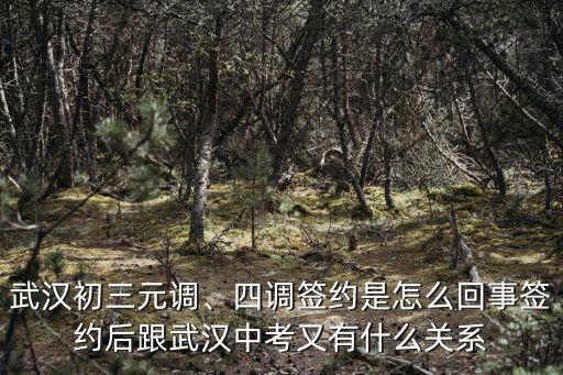 武漢初三元調、四調簽約是怎么回事簽約后跟武漢中考又有什么關系