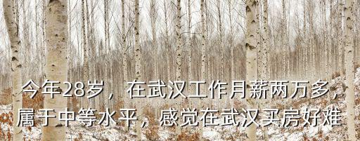 今年28歲，在武漢工作月薪兩萬多，屬于中等水平，感覺在武漢買房好難