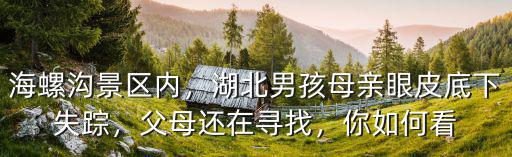 湖北8歲男孩在四川景區失蹤現在怎么樣,8歲男孩景區失聯