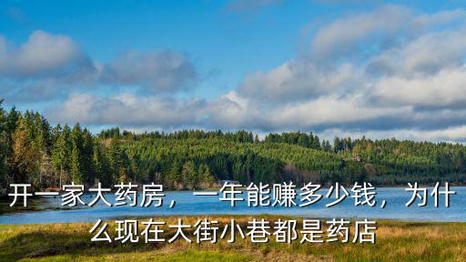 開一家大藥房，一年能賺多少錢，為什么現在大街小巷都是藥店