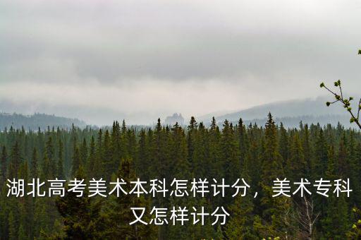 湖北高考美術(shù)怎么算分,湖北高考美術(shù)本科怎樣計分
