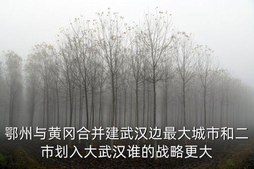 鄂州與黃岡合并建武漢邊最大城市和二市劃入大武漢誰的戰略更大