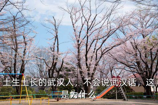 土生土長的武漢人，不會說武漢話，這是為什么