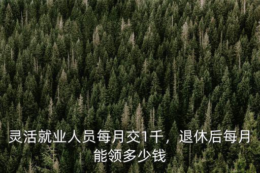 河南靈活就業養老退休能領多少,退休后每月能領多少錢