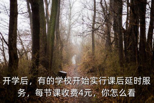 開學后，有的學校開始實行課后延時服務，每節課收費4元，你怎么看