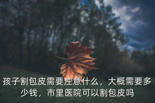 承德割包皮要多少錢,大概需要多少錢