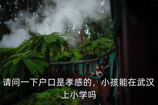 小孩子在老家大人在武漢怎么上學,小孩是在老家上學好呢
