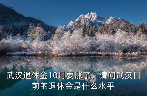 武漢退休金10月要漲了，請問武漢目前的退休金是什么水平