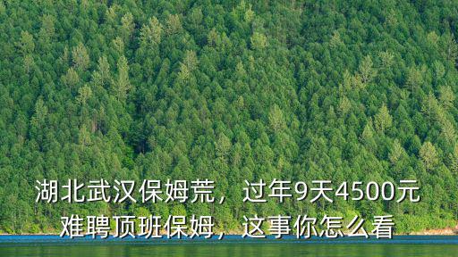 武漢保姆元旦怎么給錢,湖北武漢保姆荒