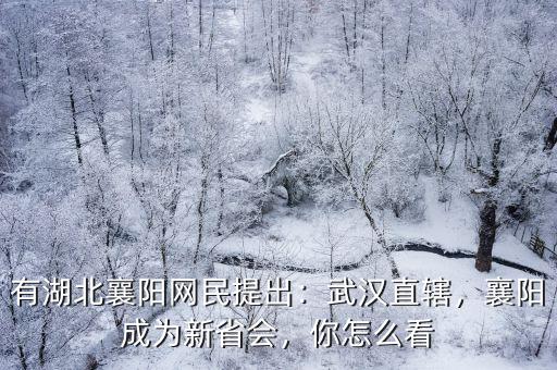 有湖北襄陽網民提出：武漢直轄，襄陽成為新省會，你怎么看