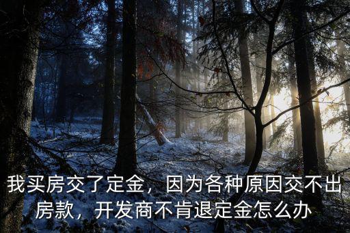 荊州開發商不退定金怎么辦,開發商不肯退定金怎么辦