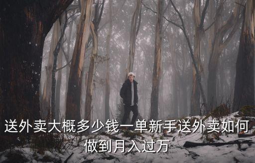 邯鄲送一單外賣多少錢,送外賣大概多少錢一單