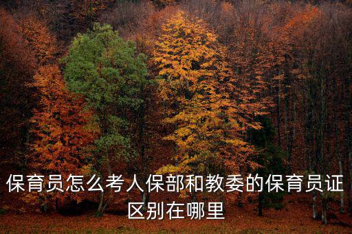 保育員怎么考人保部和教委的保育員證區(qū)別在哪里