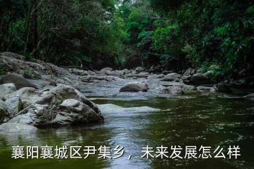 襄陽襄城區機器人拼搭怎么樣,襄陽襄城區尹集鄉