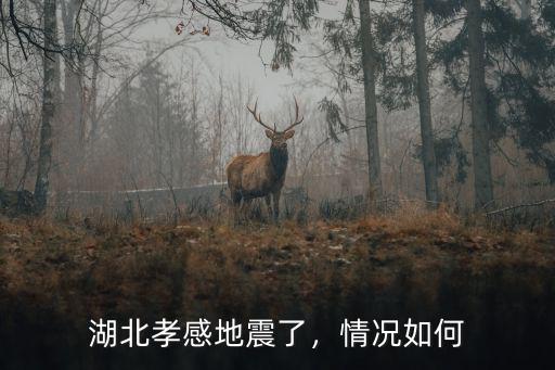 湖北孝感地震了，情況如何