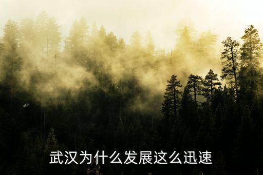 武漢新人怎么發(fā)展,怎么看武漢的未來發(fā)展