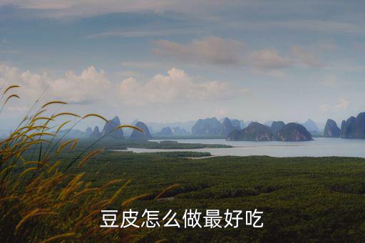 湖北松滋豆皮怎么做,湖北豆皮干怎么做