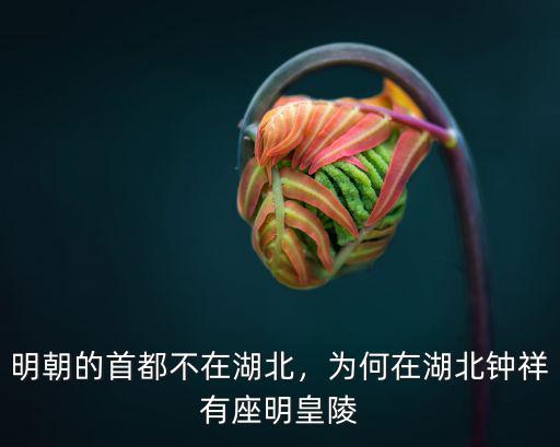 明朝的首都不在湖北，為何在湖北鐘祥有座明皇陵