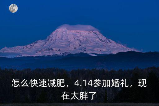 襄陽婚慶怎么減肥,怎么快速減肥