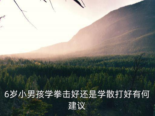 6歲小男孩學拳擊好還是學散打好有何建議
