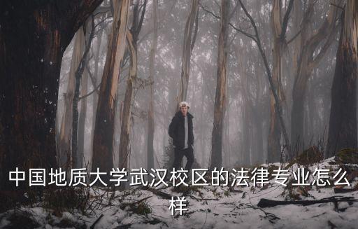 中國地質大學武漢校區的法律專業怎么樣