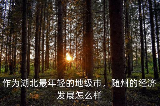 作為湖北最年輕的地級市，隨州的經濟發展怎么樣