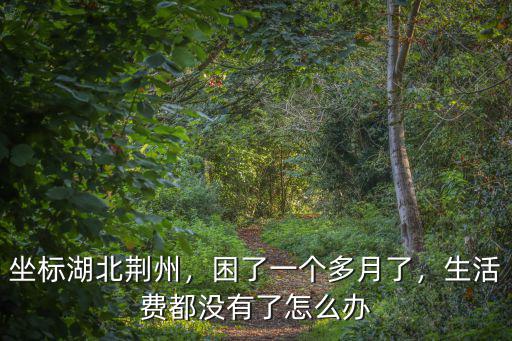坐標湖北荊州，困了一個多月了，生活費都沒有了怎么辦