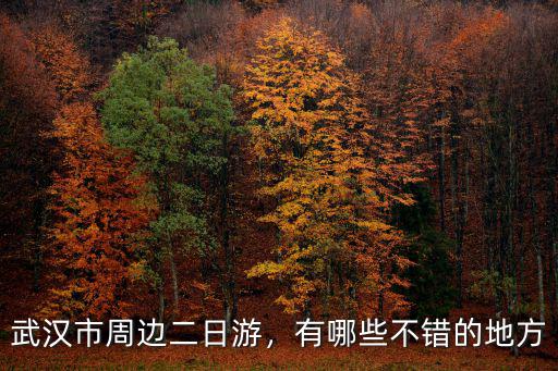 武漢市周邊二日游，有哪些不錯(cuò)的地方