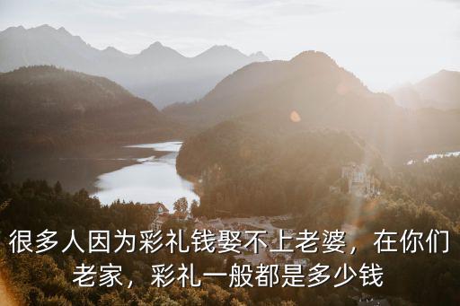 很多人因為彩禮錢娶不上老婆，在你們老家，彩禮一般都是多少錢
