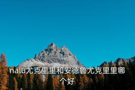 nalu尤克里里和安德魯尤克里里哪個好