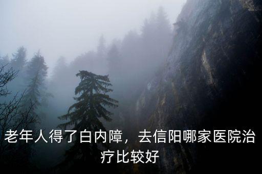 信陽老年人去哪里好,信陽周末自駕游去哪里好