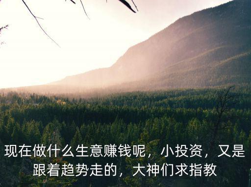 武漢小投資生意怎么樣啊,武漢260萬投資啥好