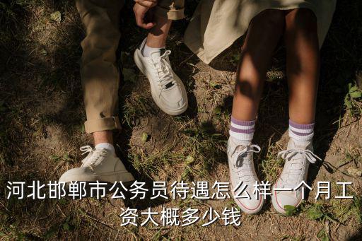 河北阜平公務(wù)員工資多少,河北公務(wù)員工資待遇如何