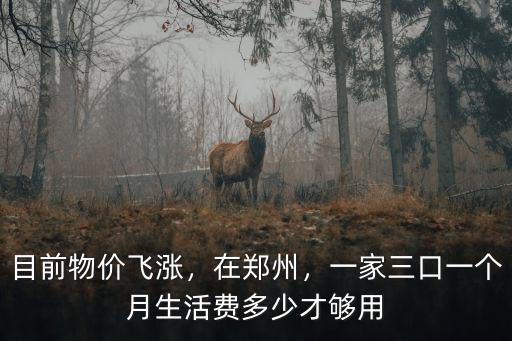 鄭州多少錢夠一個月花,在鄭州掙多少錢夠花