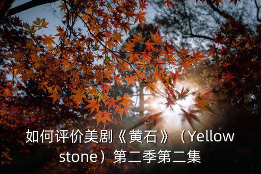 美劇黃石第二季沃克怎么了,第二季第二集