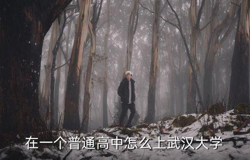 在一個普通高中怎么上武漢大學