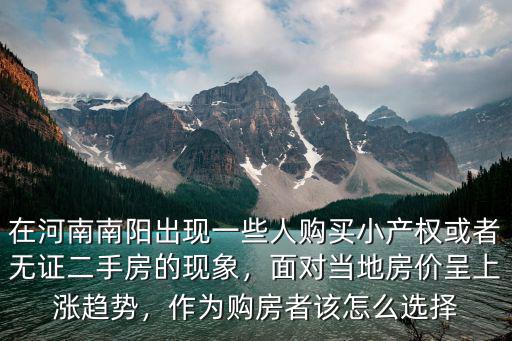 在河南南陽出現一些人購買小產權或者無證二手房的現象，面對當地房價呈上漲趨勢，作為購房者該怎么選擇