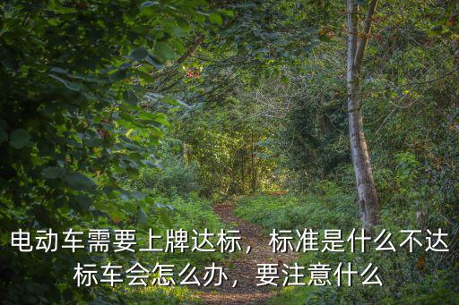 駐馬店不達標的電動車怎么辦,不達標車會怎么辦