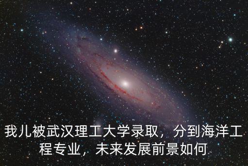 武漢理工大學(xué)宿舍怎么分配專業(yè),我兒被武漢理工大學(xué)錄取