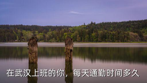在武漢上班的你，每天通勤時間多久