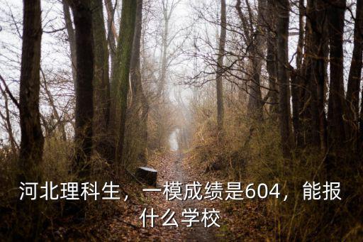 2019年河北理科最高分是多少,今年河北高考最高分多少