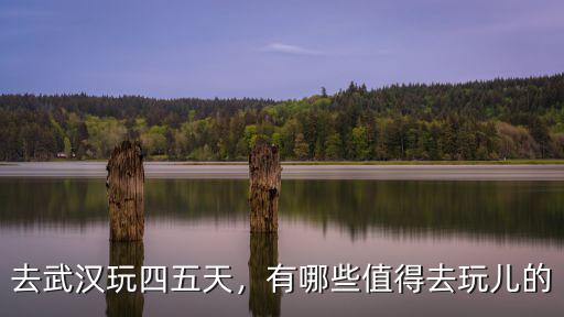 去武漢四天怎么玩兒,去武漢玩四五天