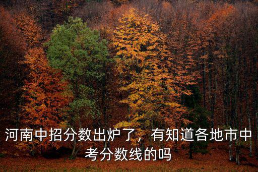 河南中考往年分數線是多少,有知道各地市中考分數線的嗎
