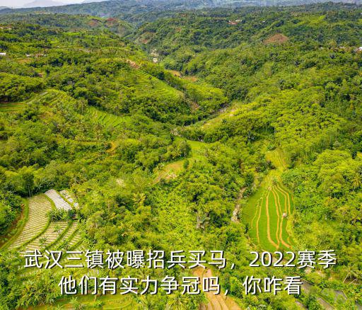 武漢三鎮(zhèn)被曝招兵買馬，2022賽季他們有實力爭冠嗎，你咋看
