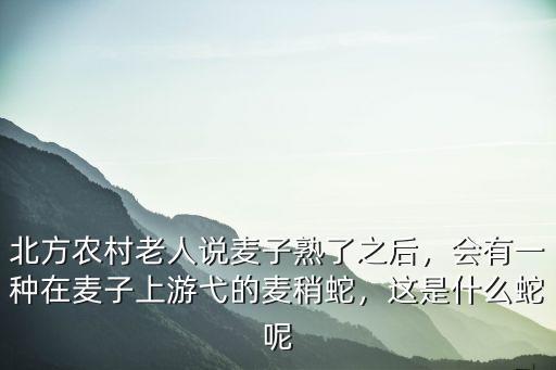 開封麥子熟了會怎么樣,北方農村老人說麥子熟了之后