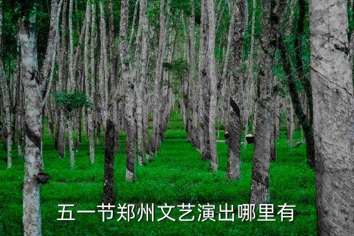 鄭州哪里看舞蹈演出,五一節(jié)鄭州文藝演出哪里有