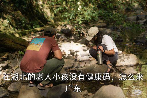 在湖北的老人小孩沒有健康碼，怎么來廣東