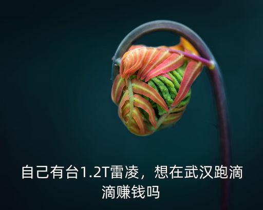 在武漢有私家車怎么賺錢啊,想在武漢跑滴滴賺錢嗎
