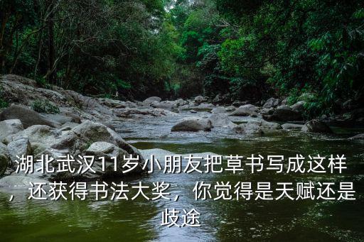 湖北武漢11歲小朋友把草書寫成這樣，還獲得書法大獎，你覺得是天賦還是歧途
