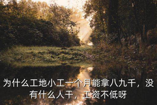 為什么工地小工一個(gè)月能拿八九千，沒有什么人干，工資不低呀